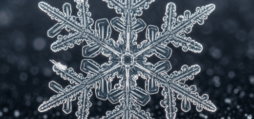 AB „Snaigė“: Nuo Šlovės Viršūnių iki Išlikimo Kovos – Legendinio Prekės Ženklo Istorija ir Ateitis