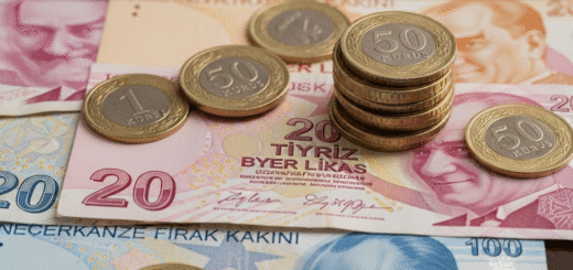 Turkijos Lira (TRY): Viskas, Ką Reikia Žinoti Apie Audringą Turkų Valiutą