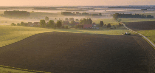 Dirbamos žemės kaina 2026: Rinkos realybė, regioniniai skirtumai ir prognozės savininkams